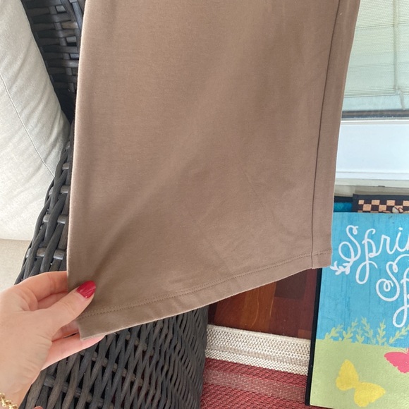 NWT Women with Control Size 2 XLP 2XP Brown Pants - Picture 6 of 17